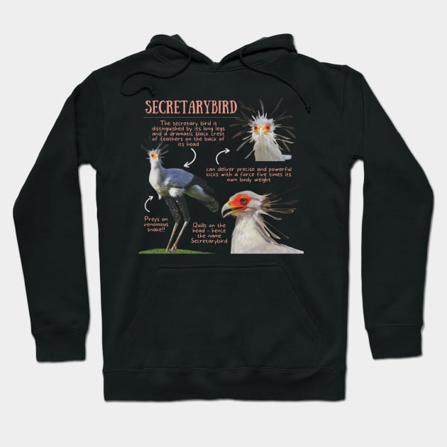 Animal Facts - Secretarybird Hoodie by Animal Facts and Trivias